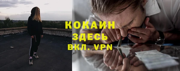 шишки Абинск