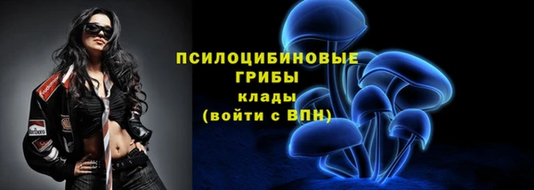 шишки Абинск