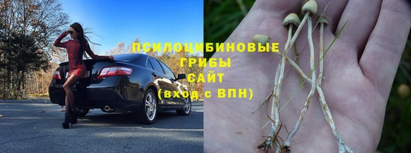 соль ск Алзамай