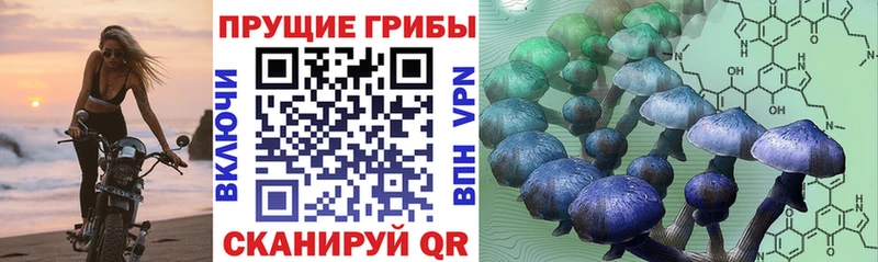Псилоцибиновые грибы Magic Shrooms  Омск 