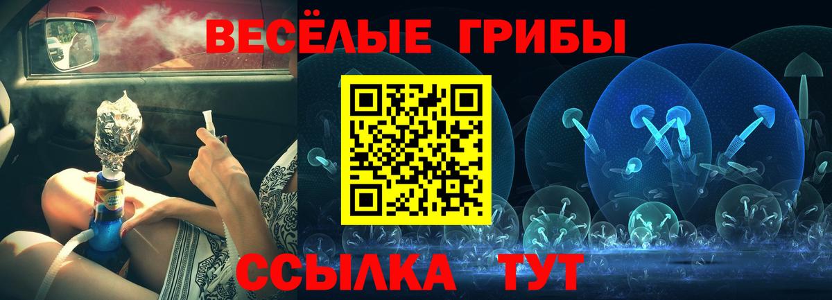 Омск  Псилоцибиновые грибы Cubensis  Вход с VPN 