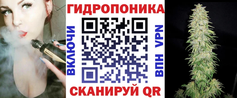 закладка  Омск  Бошки марихуана VHQ 